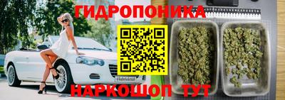 apvp Гусь-Хрустальный