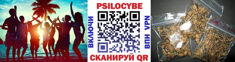 Псилоцибиновые грибы Psilocybe  это состав  Кострома 